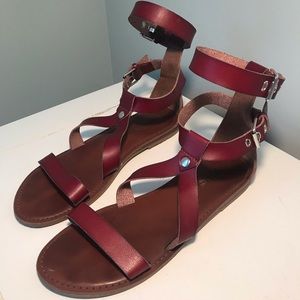 ||AMERICAN EAGLE MAROON STRAP SANDAL||